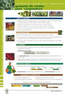 Guía de cultivo de guisante 