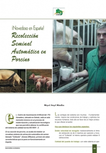 Recolección seminal automática en porcino