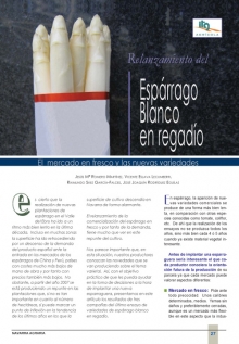 Relanzamiento del espárrago blanco