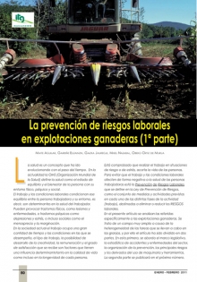 La prevención de riesgos laborales