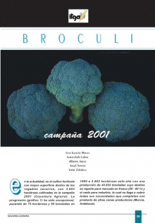 Bróculi