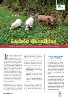 Lechón de calidad