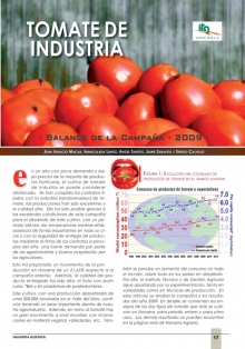 Tomate de industria