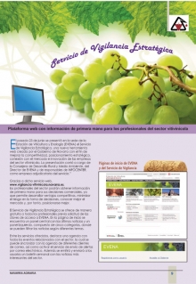 Sector vitivinícola