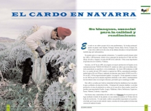 Cardo en Navarra