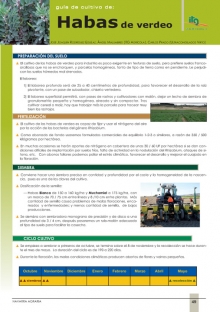 Guía de cultivo de Habas