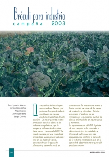Bróculi para industria.