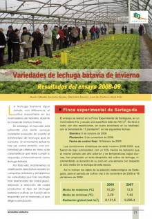 Variedades de lechuga batavia