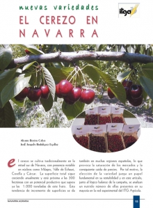 El cerezo en Navarra