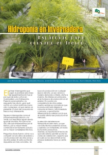 Hidroponía en invernadero.