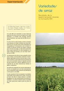 Variedades de arroz. 