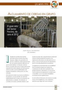 Alojamiento de cerdas en grupo