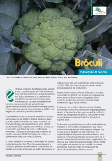 Bróculi