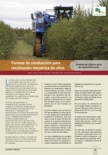 Formas de conducción de las plantaciones