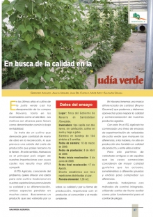 Judía verde de calidad