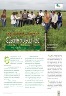 Guisante proteaginoso