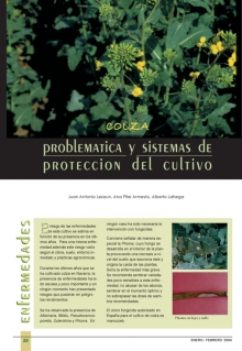 Problemática y sistemas de protección