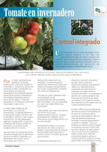 Tomate de invernadero