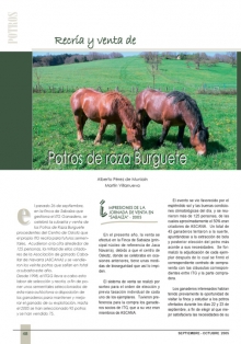 Recría y venta de potros de raza Burguete