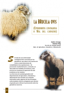 Brucela ovis