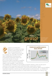 Girasol