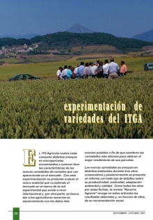 Resultados de la experimentación