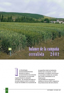 Balance campaña 2001