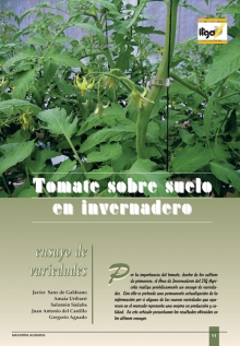 Variedades de tomate