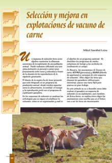 Selección y mejor de vacuno