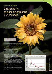 Girasol 