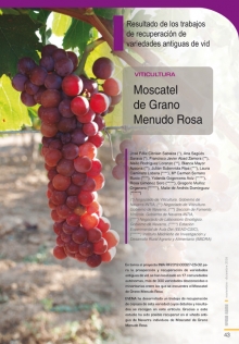 Moscatel de Grano Menudo Rosa