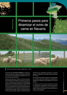 Primeros pasos para dinamizar el ovino de carne