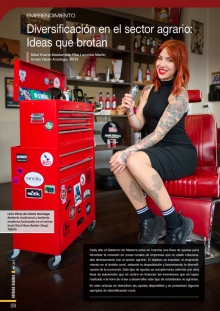 Diversificación 