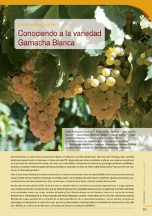 Conociendo a la Garnacha Blanca