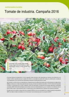 Tomate de industria. 