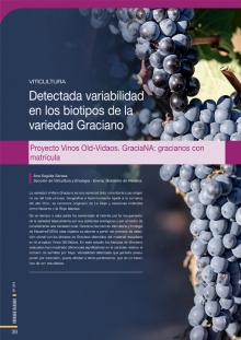 Viticultura