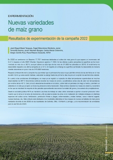 Nuevas variedades de maíz grano