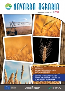 Toda la información en un solo link