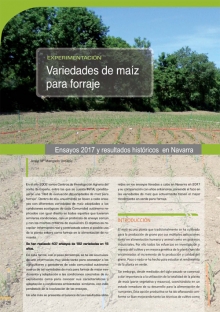 Variedades de maíz para forraje