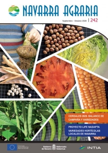 Toda la información en un solo link