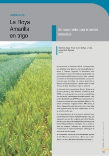 Roya Amarilla en trigo.