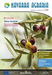 Toda la información en un solo link