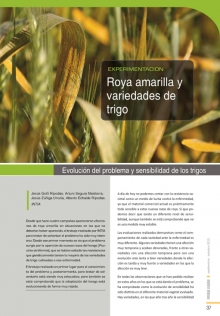 Roya amarilla y variedades de trigo