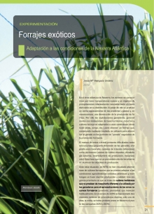 Forrajes exóticos para la zona Atlántica