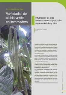 Variedades de alubia verde en invernadero