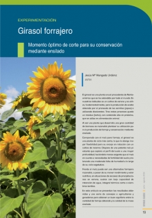 Girasol forrajero