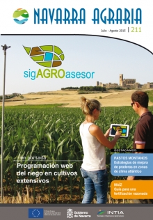 Toda la información en un solo link