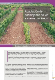 Adaptación de portainjertos de vid a suelos calcáreos.