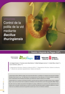 Control de la polilla