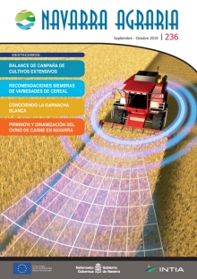 Toda la información en un solo link